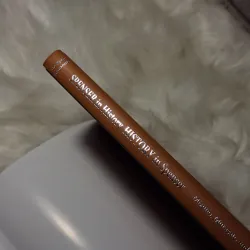 SPENSER in History, HISTORY in Spenser Spenser Society Japan Essays 783243