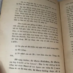 Phúc âm Chúa Nhật 995100