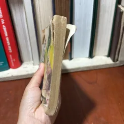 II Tập Truyện: Tình Yêu Có Màu Gì - Từ Kế Tường - 1987 751290