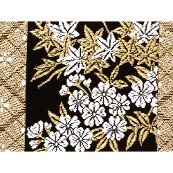 Đai túi - Hàng hiệu Authentic 881045