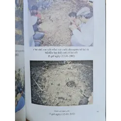 Một sự linh nghiệm kỳ lạ - Mai Trọng Tuấn 575280