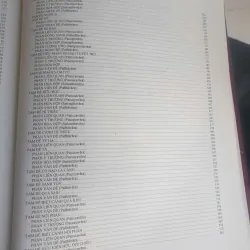 Tạng Vô Tỷ Pháp - 7 cuốn 717706