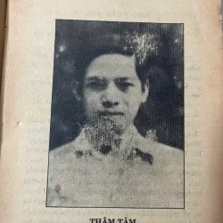 Thâm Tâm và T.T.Kh - Nhiều tác giả - Phê bình & Văn học 798739