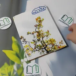 Cao Ly Đầu Hình 928568