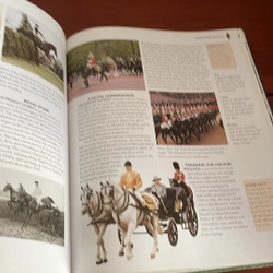 PICTURE BOOK The encyclopedia of horses & ponies 536946
