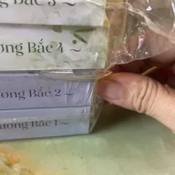 Bảy năm vẫn ngoảnh về phương bắc 1006851