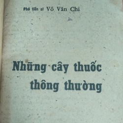 Những cây thuốc thông thường 193298