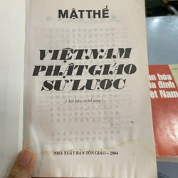 VIỆT NAM PHẬT GIÁO SỬ LƯỢC - MẬT THỂ 446251