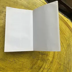 PRACTICAL ENGLISH USAGE- MICHAEL SWAN 602659