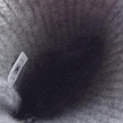 GĂNG TAY HERMES - Hàng hiệu Chính hãng 837973