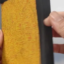 [MIỄN PHÍ BỌC SÁCH] [XƯA] Thiên Chúa Thánh Giá Nhựt Khóa (1965) 775949