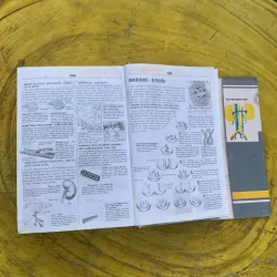 TỪ ĐIỂN Y HỌC ANH - VIỆT  nhà xuất bản từ điển Bách Khoa 790404