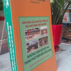 NHỮNG VẤN ĐỀ ĐẶT RA TRONG PHÁT TRIỂN BỀN VỮNG VÙNG 382889