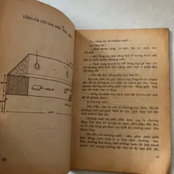 Hướng dẫn kĩ thuật nuôi cút 739432