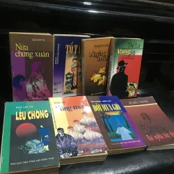 Tố tâm, Lều Chõng, Vàng và máu, sống mòn, đời mưa gió, ngày mới, nửa chừng xuân, …