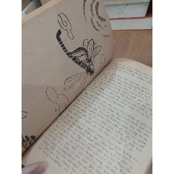 Cuộc phiêu lưu kỳ lạ của ong vàng - Vũ Duy Thông