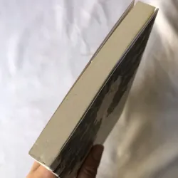 Hình Cảnh Mất Trí - Chan Ho Kei 977456