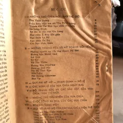 Ngai vàng xương máu - Đoàn Văn Thông 991233