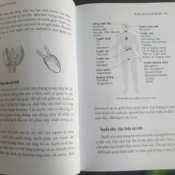 Kỳ Diệu Dàn Điều Hòa Nội Tiết 712080