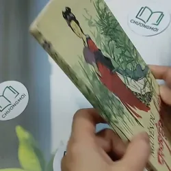 Truyện Kiều 698586