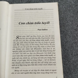 3 TRUYỆN TÌNH LÃNG MẠN 478653