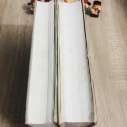 COMBO HÀNH TRÌNH VỀ LÀNG VIỆT CỔ TRUYỀN (TẬP 1 & 2) – Bùi Xuân Đính (chủ biên) 931700