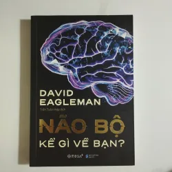 Não bộ kể gì về bạn  1023564