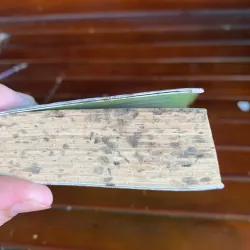 Tôi thấy hoa vàng trên cỏ xanh 1045100