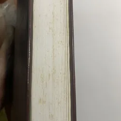 Tân Ước tiếng Pháp - Le Nouveau Testament 673783