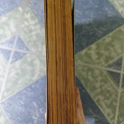 Cao Nguyên miền Thượng - Cửu Long Giang - Toan Ánh 705059