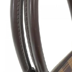 Túi Louis Vuitton Damier Saleya PM N51183 618345