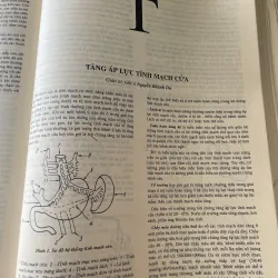 Bách khoa bệnh học 2 ; 500 trang khổ lớn  1019546