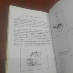 Nghệ thuật CHẾ TÁC CHẬU CẢNH 715538