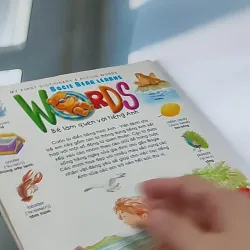 Gấu Bogie Học Từ - NXB Dân Trí - Đông A (Dan Tri - Dong A Publishing) 607708