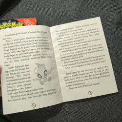 Combo Pokemon - Mewtwo Strikes Back + Celebi Rescue 712479