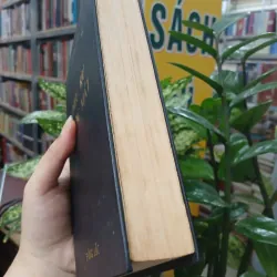 ĐIỆU RU NƯỚC MẮT - DUYÊN ANH 1036673