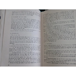 Nghiên cứu việt nam - nhà sùng chính huế 549128