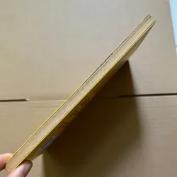 Thoạt kỳ thủy - Nguyễn Bình Phương 734313