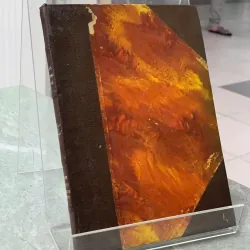 ÁNH SÁNG TRONG ĐÊM - VÕ LONG TÊ 705007