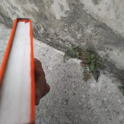 Nhịp sinh học với Dịch học trong văn hóa phương Đông  1022856