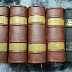 Tuyển tập Dostoievski