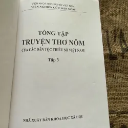 Truyện thơ Nôm dân tộc thiểu số Việt Nam - dân tộc Tày Nho Hương Chiêu Đức  1004264