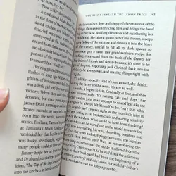 One night beneath the lemon trees  722860