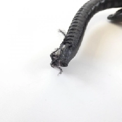 Túi xách chéo Chanel Cambon Line 25177 612245