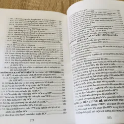 VIÊM GAN VIRUS C 975761