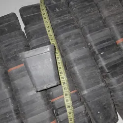 250 cái chậu nhựa cũ 1029028