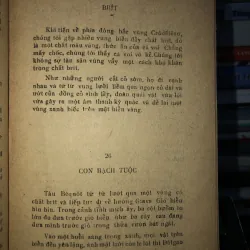 Cá voi trắng - Hơmơn Menvin 795448