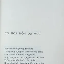 Mưa nguồn (Bùi Giáng) 609806