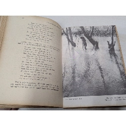 Việt nam thi nhân tiền chiến - Nguyễn Tấn Long & Phan Canh ( combo 9 quyển ) 545602