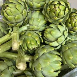 Bông Atiso loại 1